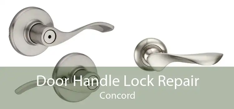 Door Handle Lock Repair Concord