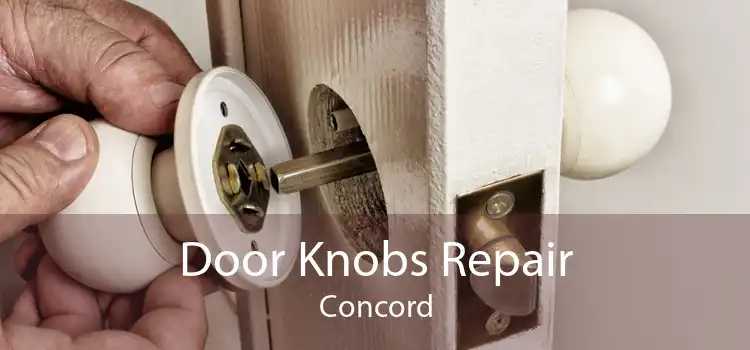 Door Knobs Repair Concord