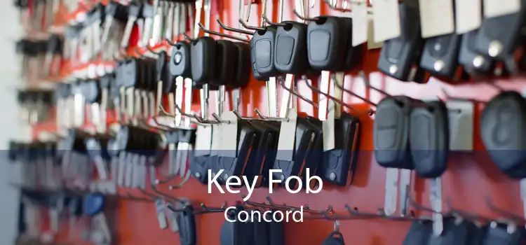 Key Fob Concord